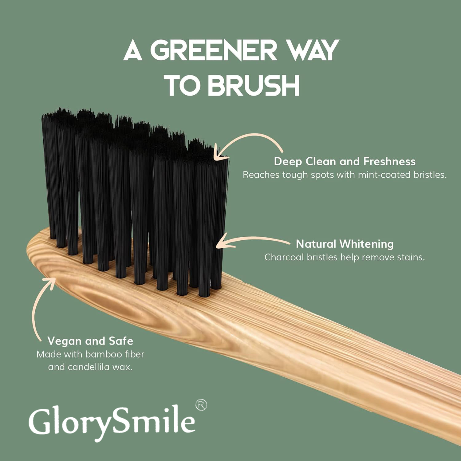 Bambus-Zahnbürsten für Erwachs – Bamboo Toothbrush Bewertung und Preis