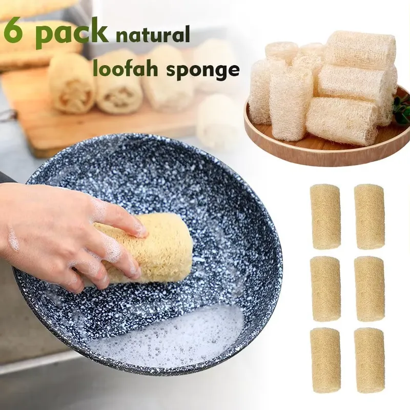 2026 Neueste Natürliche Luffa- – Eco Sponge Bewertung und Preis